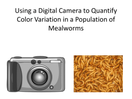 Using a digital camera to quantify color variation in a