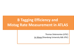 B tag efficiency measurement