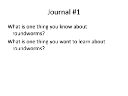 unit 3b free-living roundwormsx