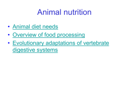 Animal nutrition - University of Texas at Austin