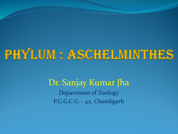 Phylum : Aschelminthes - GCG-42