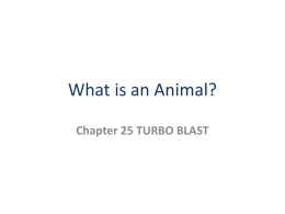 What is an Animal? - Tanque Verde Unified District