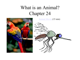 Chapter 24 PPT