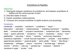 Biology\Amphibs & Reptiles