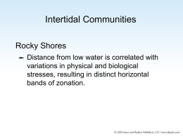 Rocky Intertidal, lecture 6