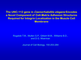 The UNC-112 gene in Caenorhabditis elegans Encodes a Novel