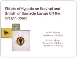 Effects of Hypoxia on Survival and Growth of Barnacle Larvae Off the