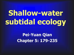 Subtidal ecology