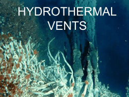 hydrothermal vents - honorsmarinebiology