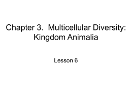 Chapter 3. Multicellular Diversity: Fungi and Animals