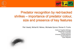 Predator recognition by red