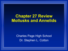 Chapter 27 Review