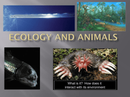 Ecology and Animals - Madison County Schools