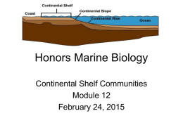 Honors Marine Biology Module 12 Continental Shelf