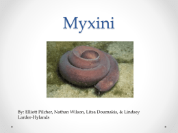 Introduction to the Myxini