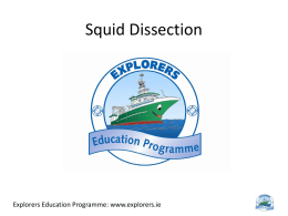 Explorers Presentation_Squid Dissection and Project_201015x