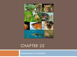 25 PowerPoint – Invertebrates