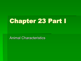 Chapter 23 Part I