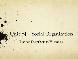 Sociology 12 - Unit 4 - Social Organization