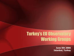 Turkey’s EU Observatory Working Groups