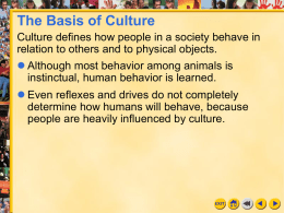 Sociology Chapter 3