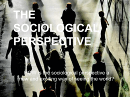 Ch. 1 Sociological Perspective