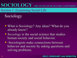 Sociology - ttopinka