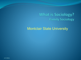 Sociological Theories & Methods