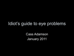 Idiot`s guide to eye problems