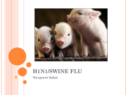 H1N1/Swine Flu - Calgary Emergency Medicine