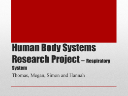 Human Body Systems Research Project * Respiratory