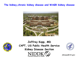 What causes chronic kidney disease?
