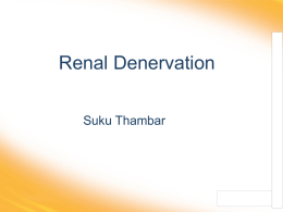 Catheter-Based Renal Denervation (RDN) Symplicity HTN Trials