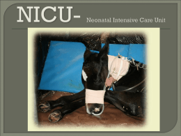 NICU- Neonatal Intensive Care Unit