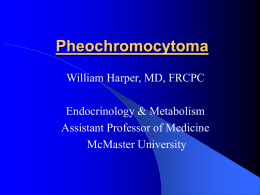 Pheochromocytoma (Powerpoint, 576KB)