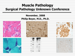 Muscle Pathology Histopathology Unknown Cases