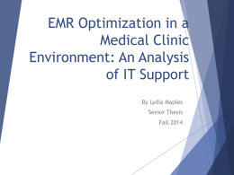 EMR Optimization: An Analysis of IT Support