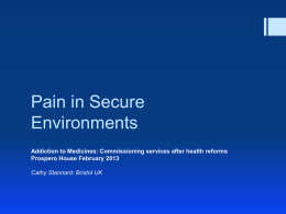 Pain in secure environments - National Treatment Agency