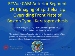 RTVue CAM Anterior Segment OCT Imaging of Epithelial Lip