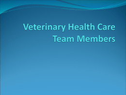 Veterinary Health Care Team Members