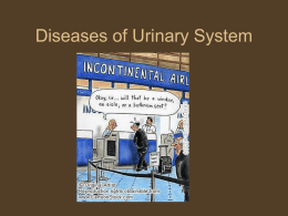 Diseases of Urinary System