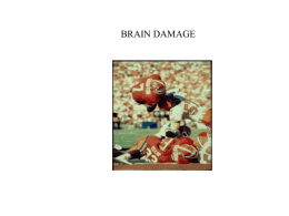 Brain Damage - People Server at UNCW