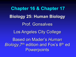 Chapter 16 & Chapter 17 - Los Angeles City College