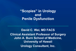 Click here to Dr. Wei`s Presentation