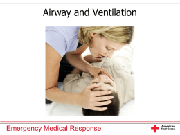 Chapter 10 Airway and Ventilation