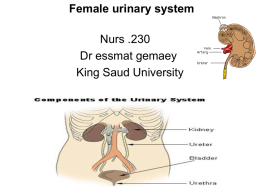 Female urinary system Nurs .230 Dr essmat gemaey