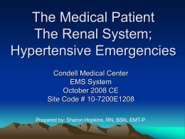 October CE: The Renal System