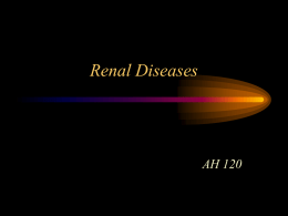 Renal Diseases
