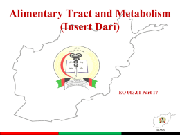 EO 003.01 - Part 17 - The Alimentary Tract and Metabolism
