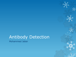 Antibody Detection